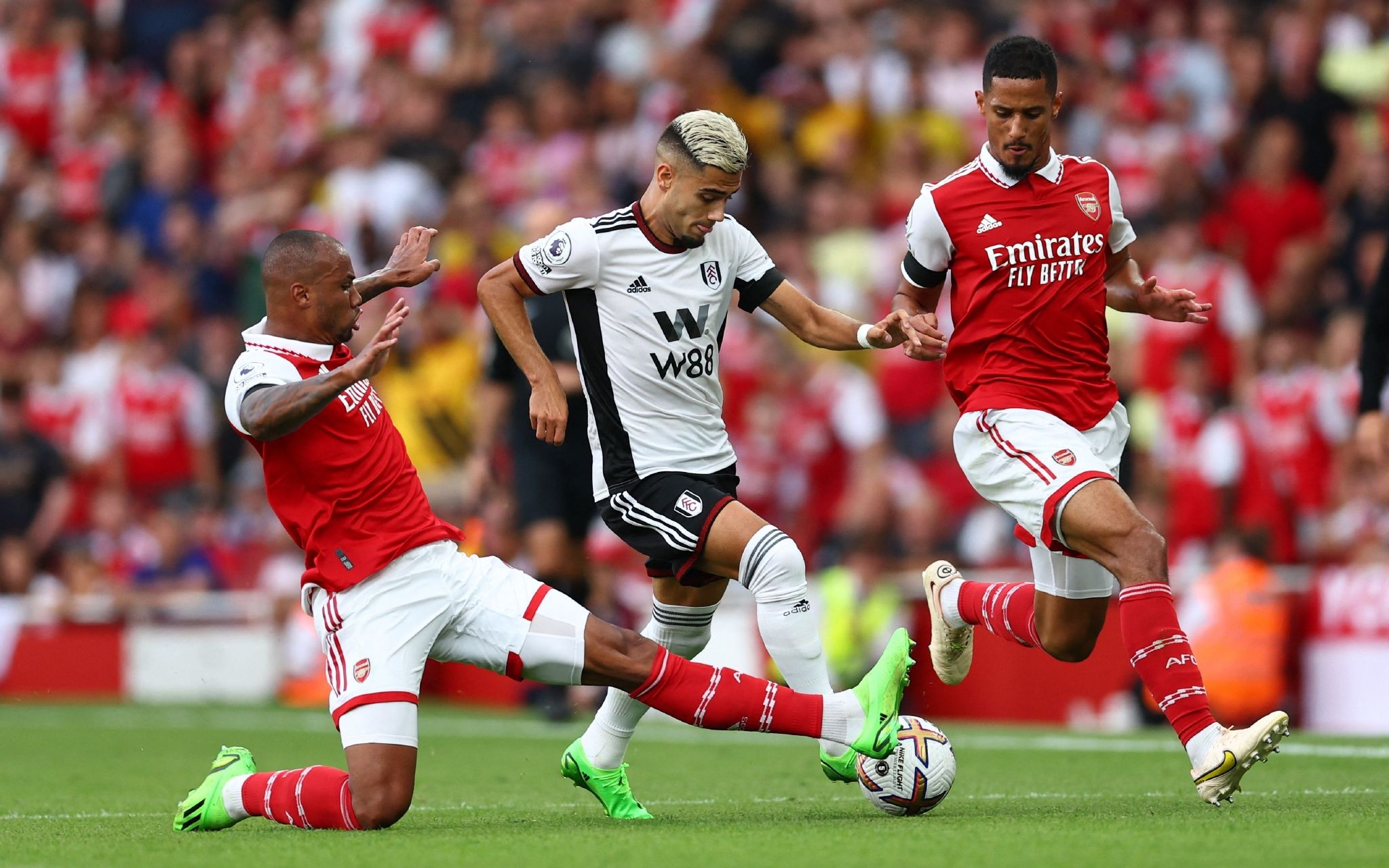 证明佩恩在 证明佩恩在